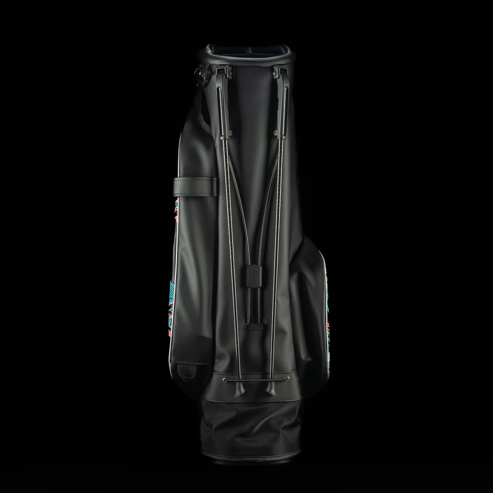 USA 2025 Dollar Bill Lincoln Stand Bag - Image 4